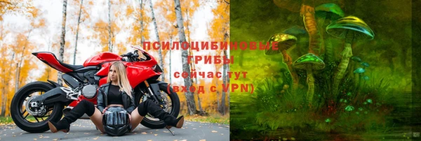MDMA Premium VHQ Белокуриха