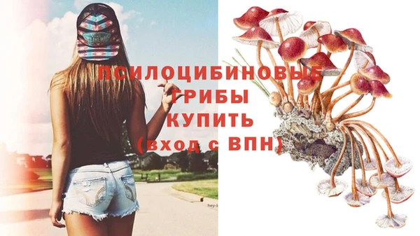 MDMA Premium VHQ Белокуриха