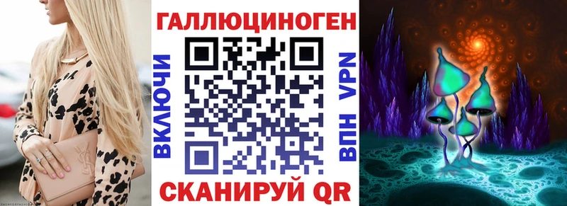 kraken   Буйнакск  Псилоцибиновые грибы Cubensis 